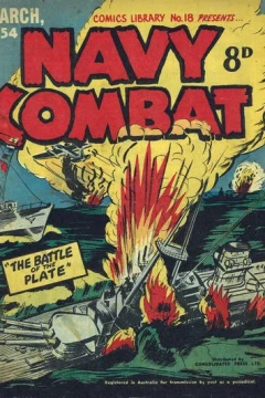 Navy Combat