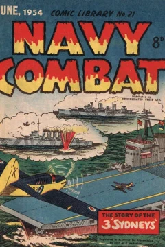 Navy Combat