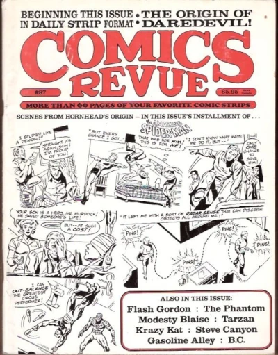 Cover of The Origin of Daredevil