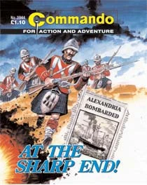 Cover of At the Sharp End!