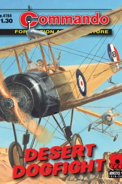 Desert Dogfight