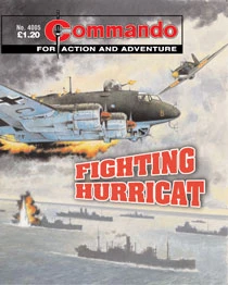 Cover of Fighting Hurricat