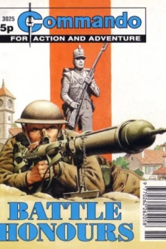 Issue #3025