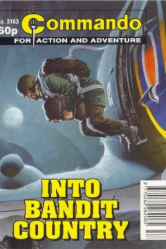 Issue #3163