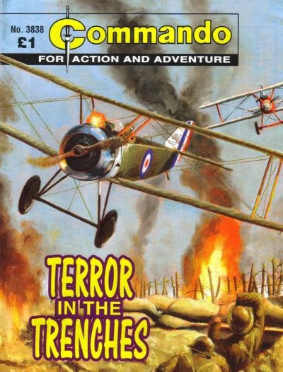 Cover of Terror in the Trenches