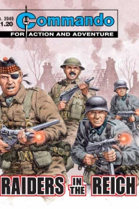 Raiders in the Reich