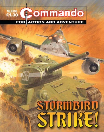 Cover of Stormbird Strike!