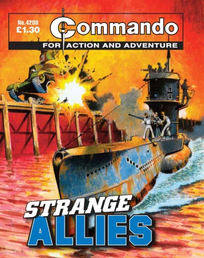 Cover of Strange Allies