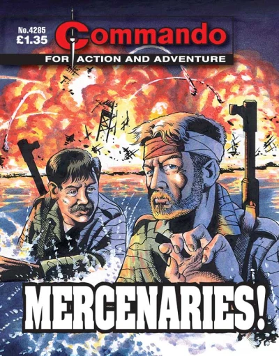 Cover of Mercenaries!