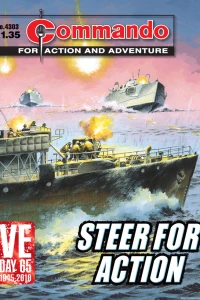 Steer For Action