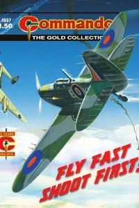 Fly Fast, Shoot First!