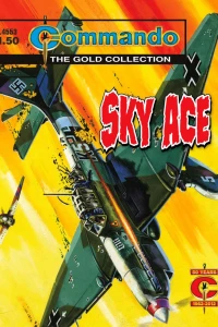 Sky Ace