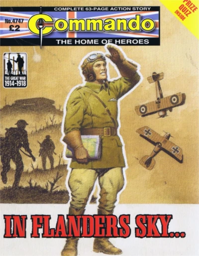Cover of In Flanders Sky...