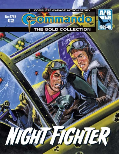 Cover of Night Fighter