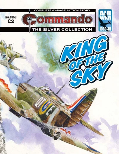 Cover of King of the Sky
