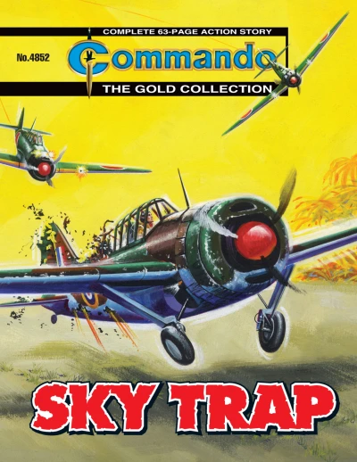 Cover of Sky Trap