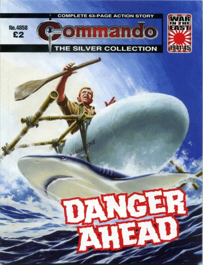 Cover of Danager Ahead