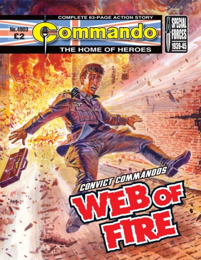 Cover of Web of Fire