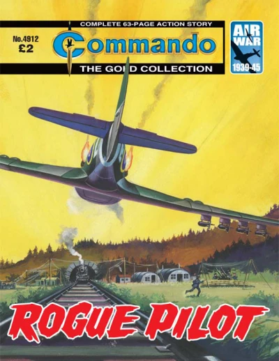 Cover of Rogue Pilot