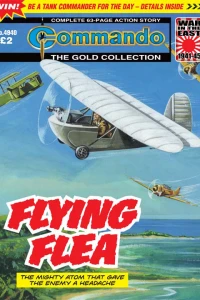 Flying Flea