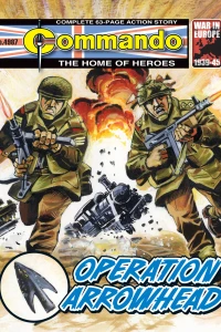 Operation Arrowhead