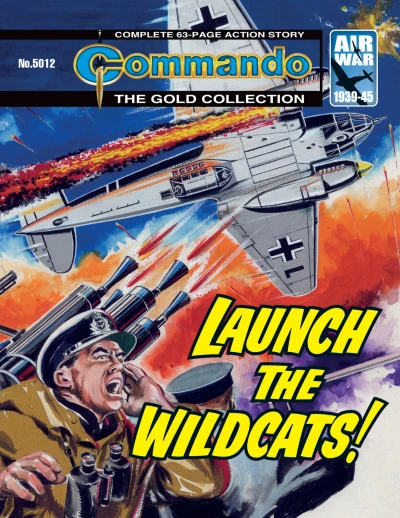Cover of Launch the Wildcats!