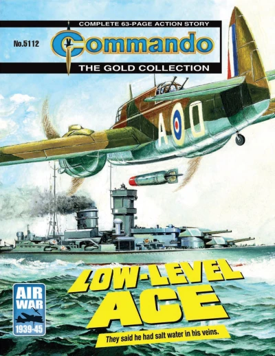 Cover of Low-Level Ace