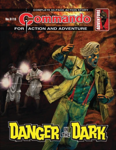 Cover of Danger in the Dark