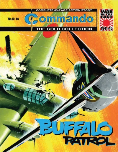 Cover of Buffalo Patrol