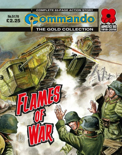 Cover of Flames of War