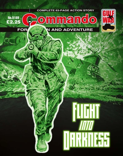 Cover of Flight Into Darkness