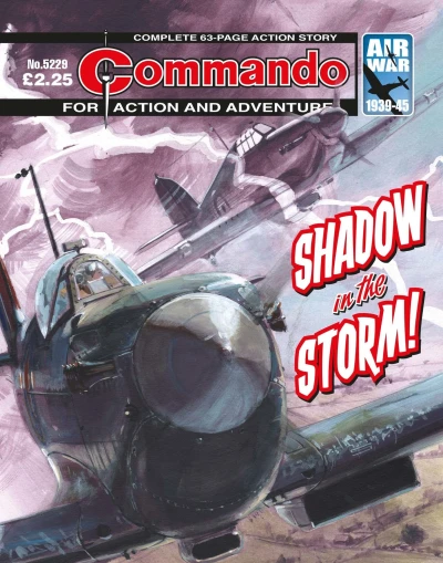 Cover of Shadow in the Storm!