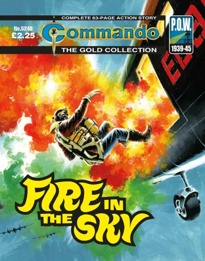 Cover of Fire in the Sky