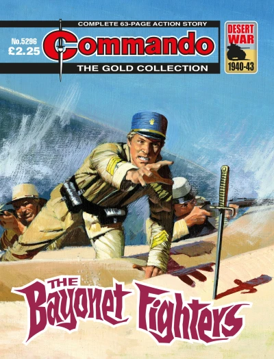Cover of The Bayonet Fighters