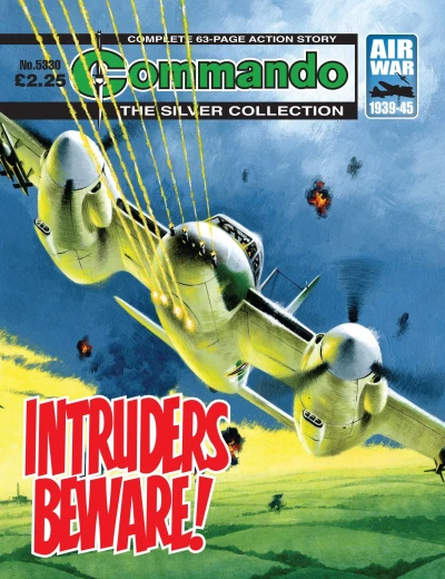 Cover of Intruders Beware!