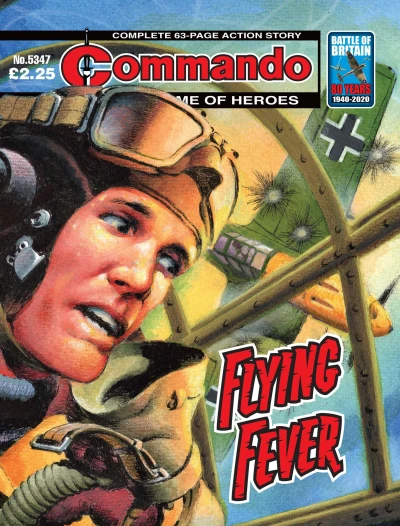 Cover of Flying Fever