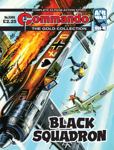 Cover of Black Squadron