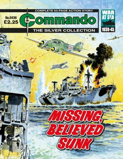 Cover of Missing, Believed Sunk