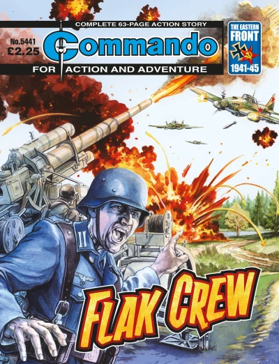 Cover of Flak Crew