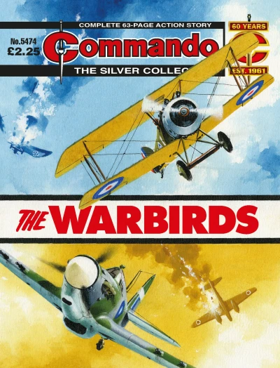 Cover of The Warbirds