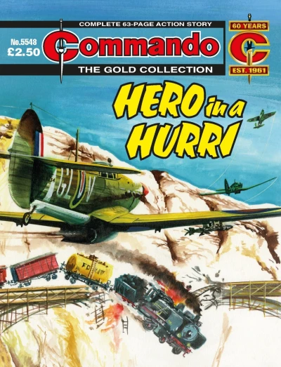 Cover of Hero in a Hurri