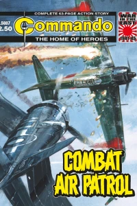 Combat Air Patrol