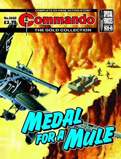 Cover of Medal for a Mule