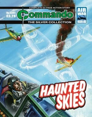Cover of Haunted Skies