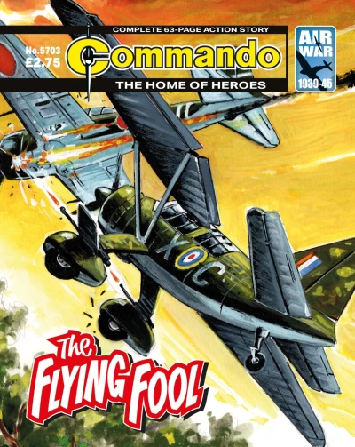 Cover of The Flying Fool