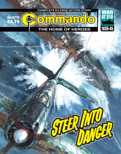 Cover of Steer into Danger