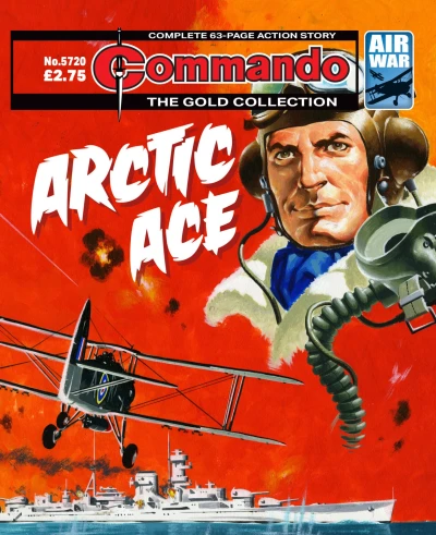 Cover of Arctic Ace