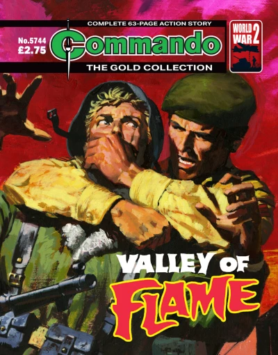 Cover of Valley of Flame
