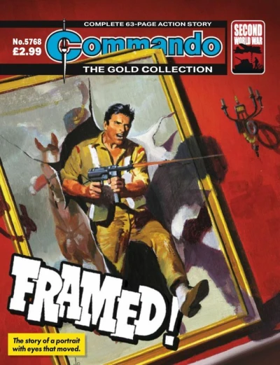 Cover of Framed!