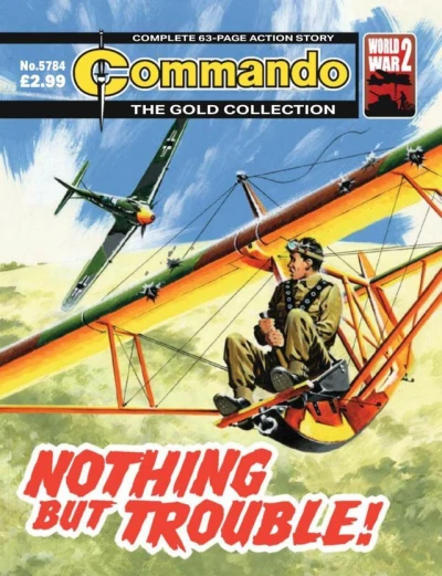 Cover of Nothing but Trouble